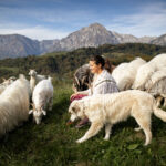 Farm Manufacture – Primavera di Tomas Martina